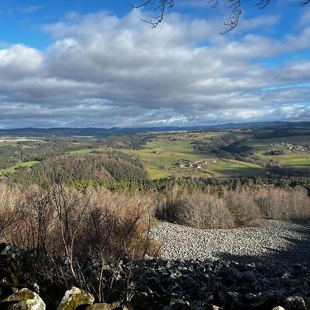 Les Roulottes De La Ferme Des Chanaux Saint-Julien-d'Ance Esterno foto